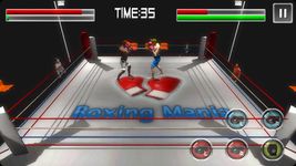 Boxing Mania の画像1