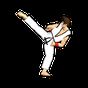 Final Karate (free) apk icon