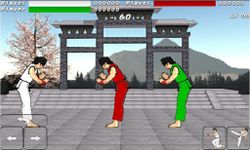 Final Karate (free) 이미지 2