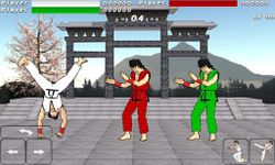 Final Karate (free) 이미지 