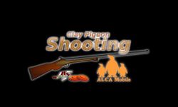 Clay Pigeon Shooting image 7