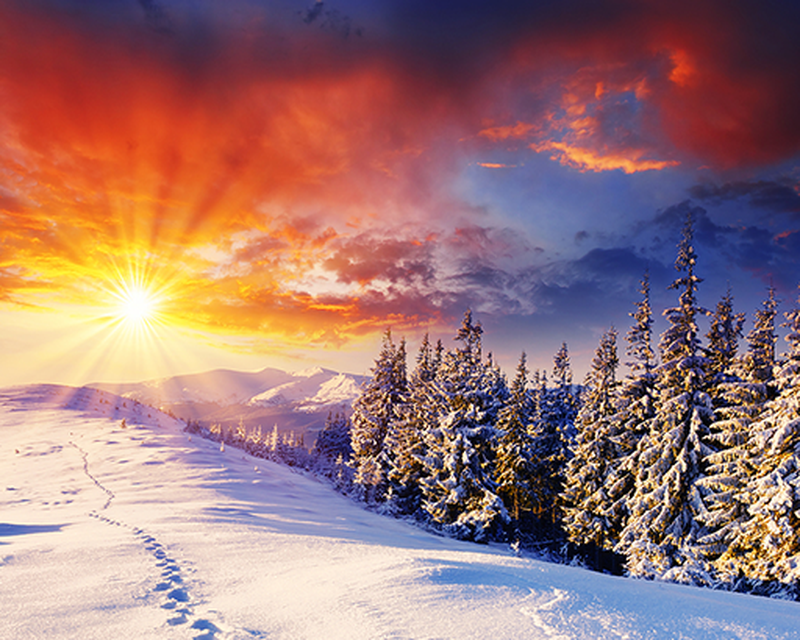 Winter Live Wallpaper HD FREE Android