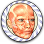 Speed Anatomy Quiz Free APK Simgesi