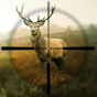 Ícone do Hunting Simulator