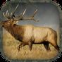 APK-иконка Elk Hunting Calls