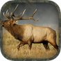 APK-иконка Elk Hunting Calls