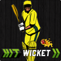 Hit Wicket Cricket - Australia APK Icon