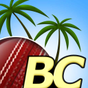 Beach Cricket Pro APK