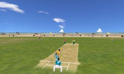 Beach Cricket Pro image 3