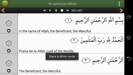 Quran PRO (Pickthall) zrzut z ekranu apk 10