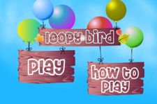 Loopy bird screenshot apk 2