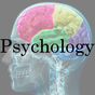 Ícone do apk AP Psychology Terms