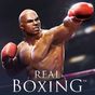Real Boxing™ Simgesi