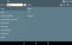 Russisch - Deutsch Wörterbuch Screenshot APK 4