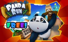 Panda Run Bild 2
