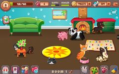 Gambar Lovely Pets 7