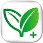 Home Remedies+ : Natural Cures APK