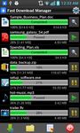 Fast Download Manager image 1