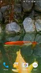 Koi Fish Video Wallpaper 3D screenshot apk 1