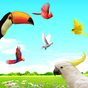 Ikon apk Sky Birds Live Wallpaper Free