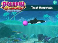 Dolphin Paradise: Wild Friends Bild 15