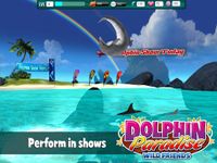 Dolphin Paradise: Wild Friends Bild 16