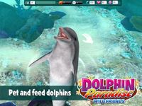 Dolphin Paradise: Wild Friends Bild 13