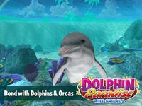 Картинка 10 Dolphin Paradise: Wild Friends