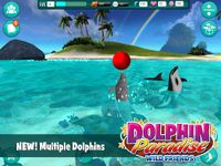 Картинка 11 Dolphin Paradise: Wild Friends