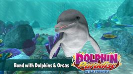 Dolphin Paradise: Wild Friends image 18