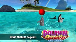 Dolphin Paradise: Wild Friends image 17