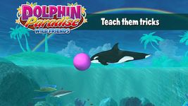 Dolphin Paradise: Wild Friends image 