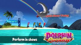 Dolphin Paradise: Wild Friends image 1