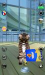 Hablando del gato Realidad captura de pantalla apk 10