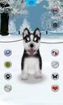 Talking Husky ekran görüntüsü APK 11