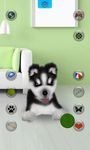 Talking Husky ekran görüntüsü APK 6