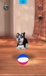 Talking Husky ekran görüntüsü APK 7