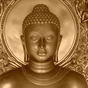 Ikon apk Buddha Quotes & Buddhism Free!