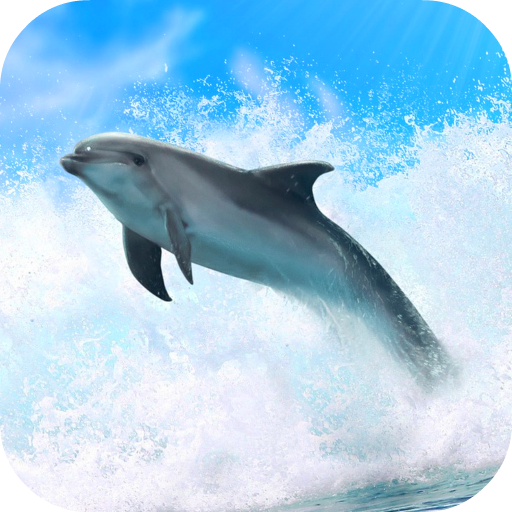 Dolphins 3D. Live Wallpaper. APK - Free download app for Android