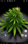 My Ganja Plant Live Wallpaper capture d'écran apk 3