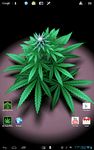 Captura de tela do apk My Ganja Plant Live Wallpaper 2