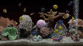 Marine Aquarium 3.3 imgesi 5