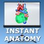 Anatomy Lectures - the heart Simgesi