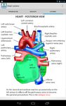 Anatomy Lectures - the heart ekran görüntüsü APK 4