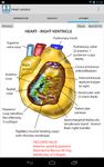 Anatomy Lectures - the heart ekran görüntüsü APK 