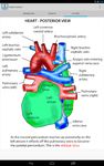 Anatomy Lectures - the heart ekran görüntüsü APK 2