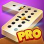 Dominoes Pro アイコン