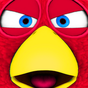 Bird Run, Fly&Jump: Angry Race icon
