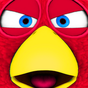 Bird Run, Fly&Jump: Angry Race