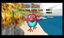 Скриншот 12 APK-версии Bird Run, Fly&Jump: Angry Race